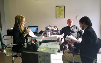 Auditoría externa Sevicol