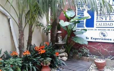 Auditoría externa Elbaum