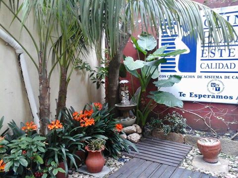 Auditoría externa Elbaum