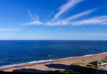 17523010_772686639558968_1905938500633799908_n