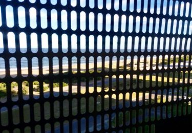 17795926_772686666225632_9156247984672742063_n