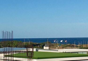 17800028_772686456225653_6806485827463349704_n