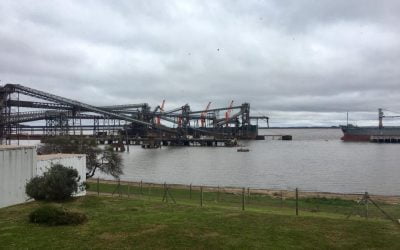 Días de trabajo en Nueva Palmira. Normas de inocuidad alimentaria. Terminal portuaria.
