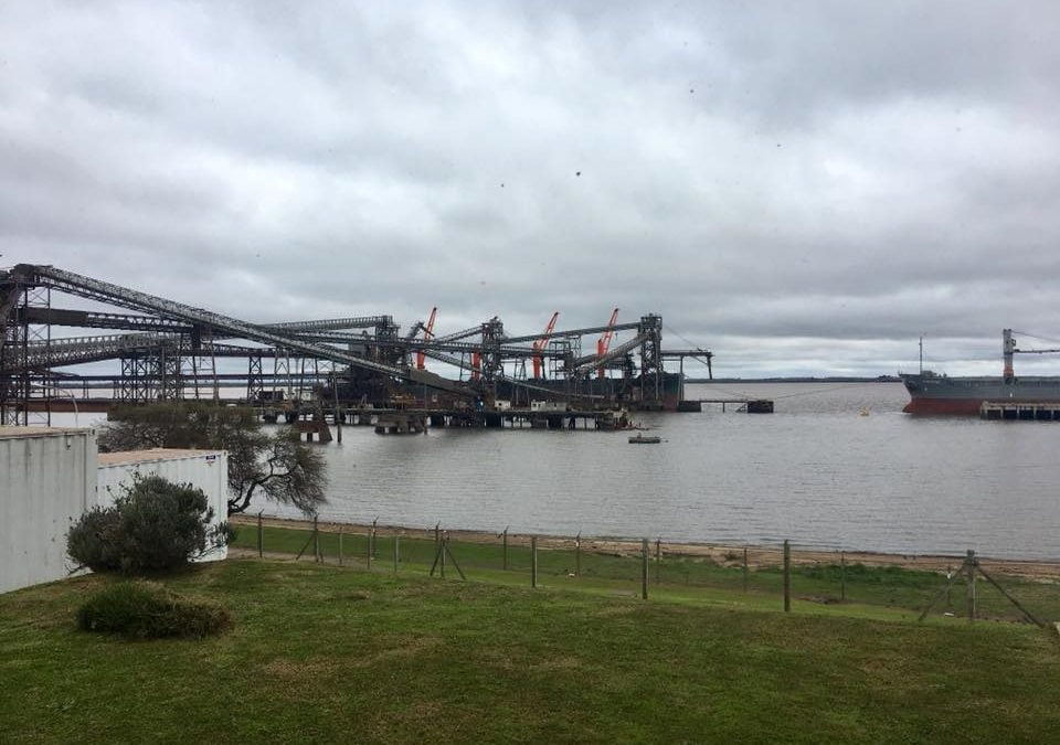 Días de trabajo en Nueva Palmira. Normas de inocuidad alimentaria. Terminal portuaria.