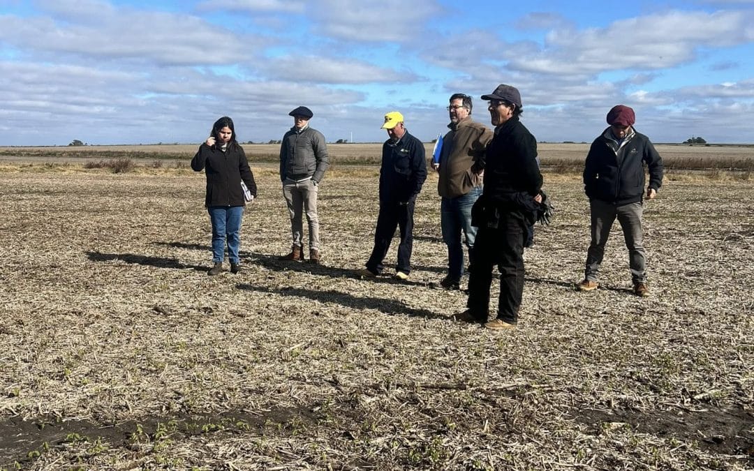 9/6/25: Auditora de campo en ADL Agropecuaria del Litoral, con UNIT.