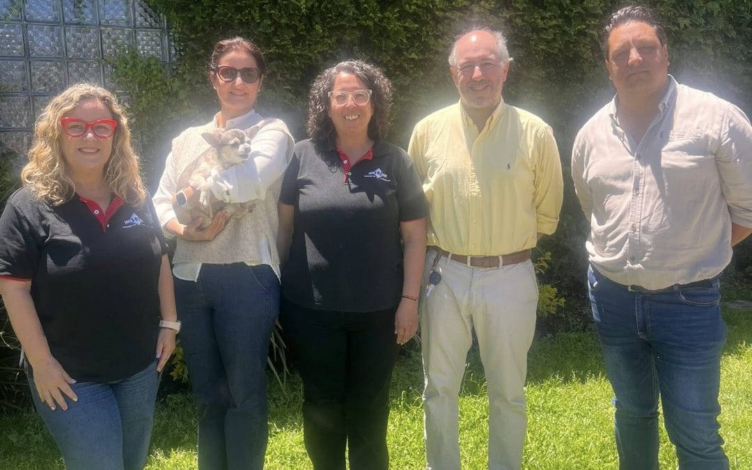 24/11/2025: Auditoría de re certificación en MULTIGRUAS – HV GRUAS, SOLUCIONES PARA LA CONSTRUCCIÓN.